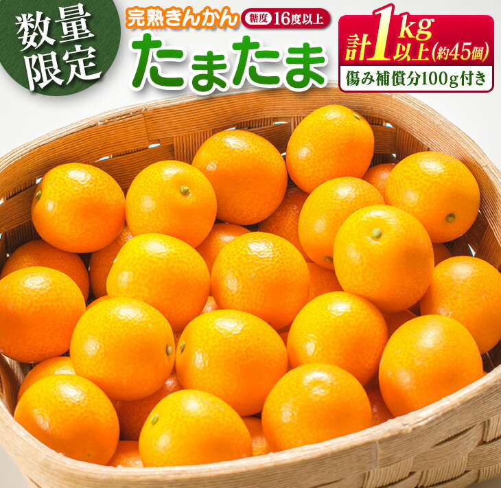 【ふるさと納税】≪数量限定≫完熟きんかん「たまたま」計1kg以上(傷み補償分100g付き)　フルーツ　果物　柑橘　金柑　国産のサムネイル