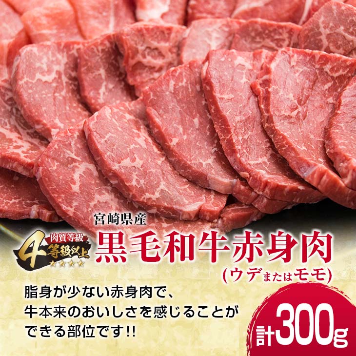 【ふるさと納税】レビューキャンペーン 数量限定 黒毛和牛 赤身肉 豚ロース 焼肉 食べ比べ セット 合計800g 肉 牛肉 豚肉 国産 ミヤチク ウデ モモ おかず お弁当 食品 BBQ キャンプ アウトドア グランピング ご褒美 記念日 お祝 お取り寄せ グルメ 宮崎県 日南市 送料無料