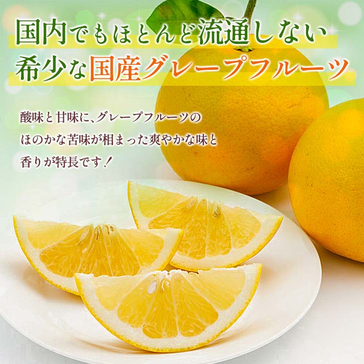 【ふるさと納税】数量限定 グレープフルーツ 月夜実 白 つくよみ 計4kg以上 期間限定 完熟 フルーツ 果物 くだもの 柑橘 オリジナル ブランド 希少 国産 食品 人気 おすすめ デザート スイーツ おやつ おすそ分け お取り寄せ グルメ 産地直送 宮崎県 日南市 送料無料