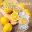 宮崎県日南市の画像3
