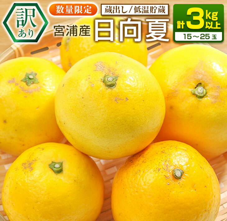 先行予約 訳あり 宮浦産 蔵出し 日向夏 計3kg以上 期間限定 数量限定 フルーツ 果物 くだもの 柑橘 みかん 令和8年発送 国産 産地直送 新鮮 食品 ジュース デザート フルーツサンド おやつ ご褒美 おすそ分け ご家庭用 ご自宅用 宮崎県 日南市 送料無料