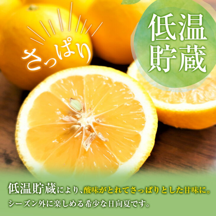 【ふるさと納税】訳あり 数量限定 宮浦産 蔵出し 日向夏 計3kg以上 柑橘 期間限定 低温貯蔵 甘味 フルーツ 果物 くだもの 国産 新鮮 食品 デザート おやつ 家庭用 自宅用 長期保存 おうち時間 バラツキ お取り寄せ グルメ おすそ分け おすすめ 宮崎県 日南市 送料無料