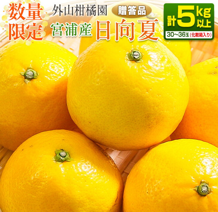 【ふるさと納税】数量限定 宮浦産 日向夏 計5kg以上 期間限定 フルーツ 果物 くだもの 柑橘 みかん 国産 産地直送 新鮮 食品 デザート おやつ ご褒美 お祝 お返し お土産 ギフト プレゼント 贈り物 贈答品 お取り寄せ グルメ おすそ分け 宮崎県 日南市 送料無料のサムネイル
