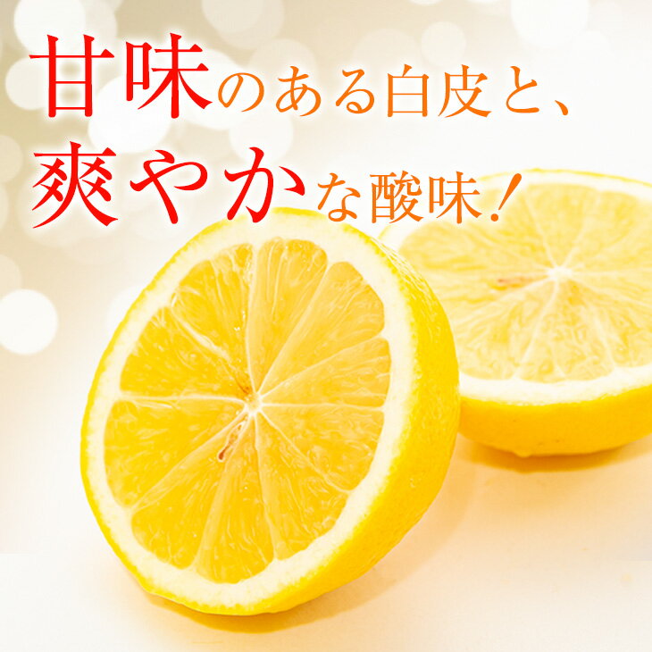 【ふるさと納税】数量限定 宮浦産 日向夏 計5kg以上 期間限定 フルーツ 果物 くだもの 柑橘 みかん 国産 産地直送 新鮮 食品 デザート おやつ ご褒美 お祝 お返し お土産 ギフト プレゼント 贈り物 贈答品 お取り寄せ グルメ おすそ分け 宮崎県 日南市 送料無料