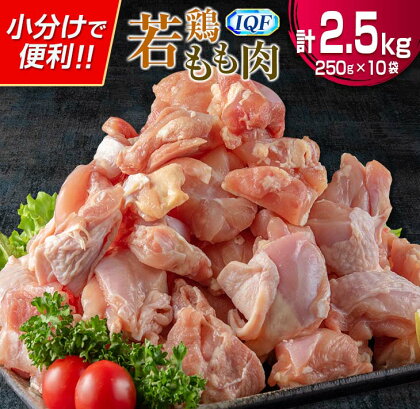 レビューキャンペーン 小分け 便利 カット済 若鶏 もも肉 計2.5kg 250g × 10袋 鶏肉 国産 おかず お弁当 おつまみ 食品 IQF冷凍 バラバラ凍結 チキン 簡単調理 から揚げ 親子丼 人気 おすすめ グルメ おすそ分け お取り寄せ 大容量 宮崎県 日南市 送料無料