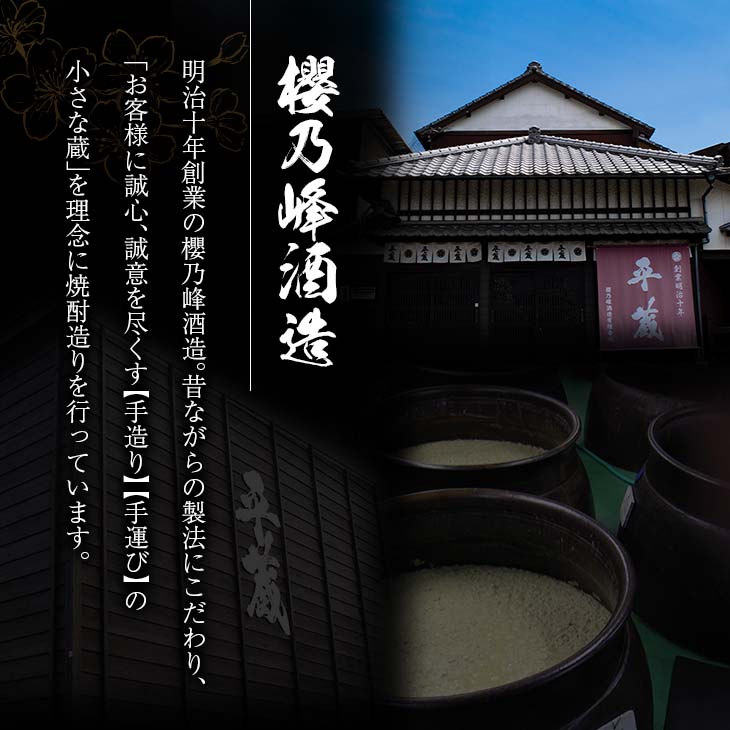 宮崎県日南市の画像2