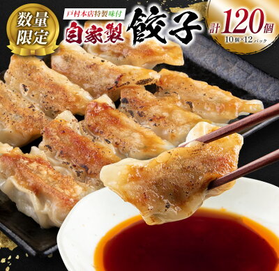 楽天ふるさと納税　【ふるさと納税】レビューキャンペーン 自家製 餃子 10個 × 12パック 計120個 惣菜 加工品 国産 おかず おつまみ お弁当 晩ご飯 簡単調理 食品 お肉 小分け やみつき おすそ分け お取り寄せ グルメ 冷凍 お土産 贈り物 プレゼント ギフト 数量限定 宮崎県 日南市 送料無料