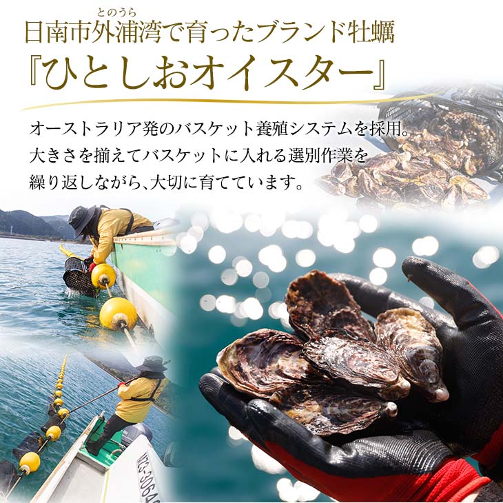 【ふるさと納税】数量限定 宮崎県産 ブランド 牡蠣 ひとしおオイスター 計20個 魚介 魚貝 かき 生食用 殻付き 国産 おかず おつまみ 食品 海鮮 海産物 シーフード BBQ バーベキュー アウトドア グランピング 海の幸 養殖 絶品 贅沢 ご褒美 お取り寄せ グルメ 日南市 送料無料