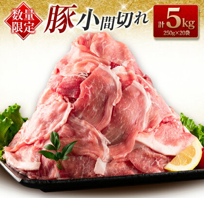 数量限定 豚小間切れ 計5kg 豚肉 ポーク 国産 食品 豚こま こま切れ肉 おすすめ ご褒美 お祝い 記念日 晩ご飯 炒め物 野菜炒め 豚汁 カレー おかず お弁当 おつまみ 万能食材 大容量 小分け 個包装 お取り寄せ グルメ おすそ分け 宮崎県 日南市 送料無料