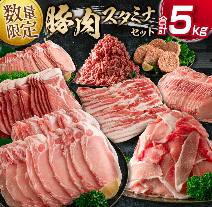 【ふるさと納税】9月30日受付終了≪数量限定≫豚肉スタミナセット(合計5kg)　肉　豚　豚肉　国産のサムネイル