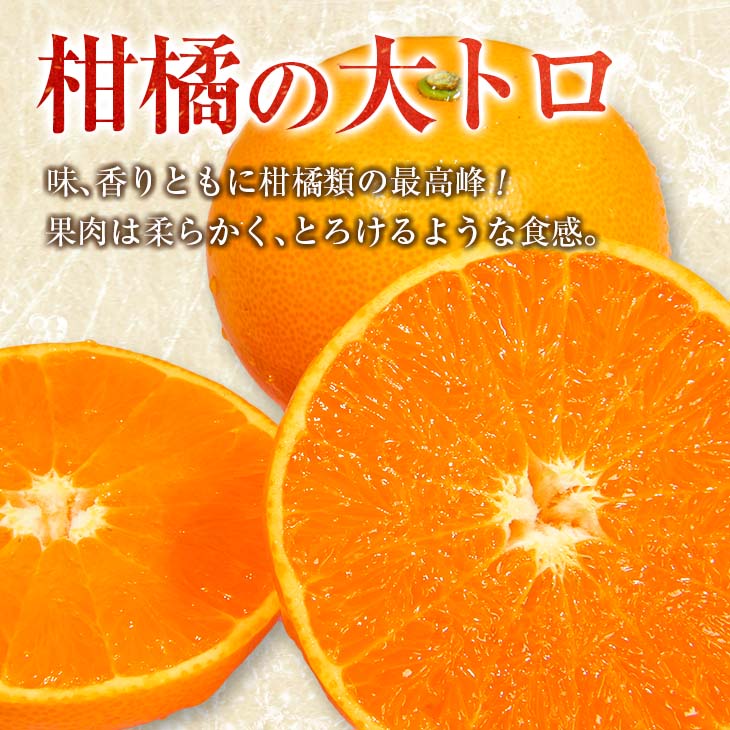 宮崎県日南市の画像2