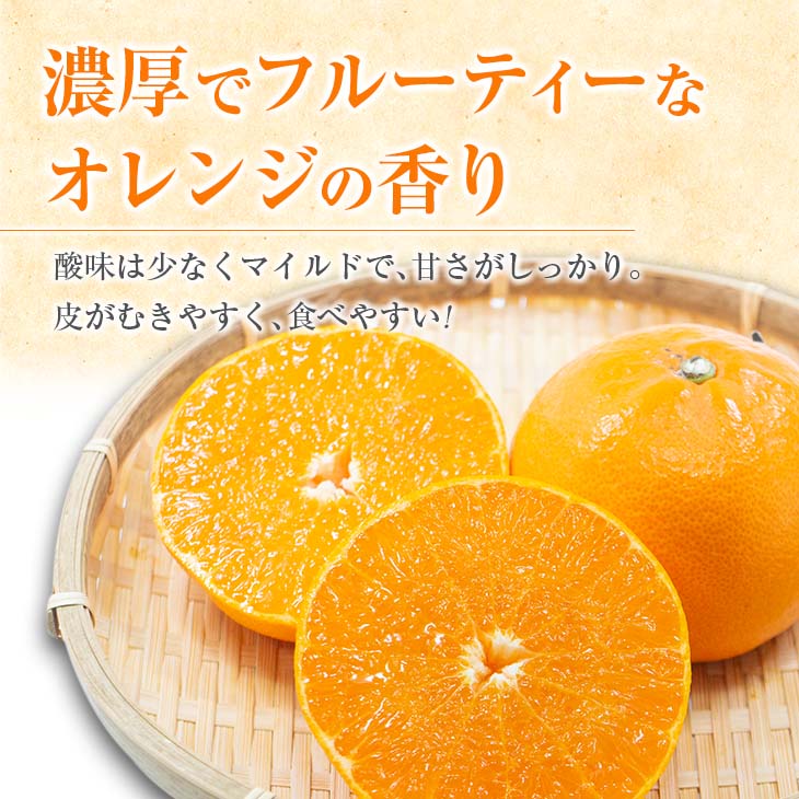 宮崎県日南市の画像3