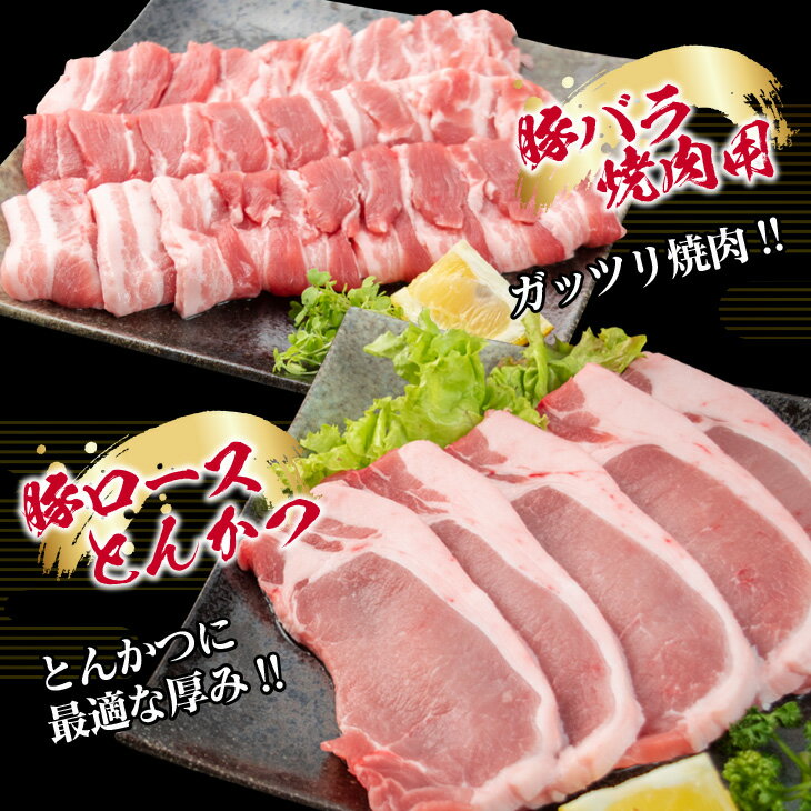 宮崎県日南市の画像3