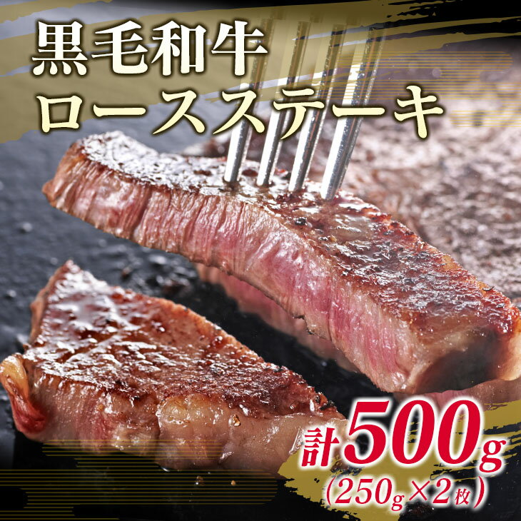 【ふるさと納税】数量限定 黒毛和牛 ロース ステーキ 250g × 2枚 豚肉 ハンバーグ 100g × 4個 合計900g 牛肉 ビーフ ポーク 国産 ミヤチク 簡単調理 BBQ おかず お弁当 おつまみ 焼肉 鉄板焼き 食品 人気 おすすめ お取り寄せ グルメ 詰め合わせ 宮崎県 日南市 送料無料