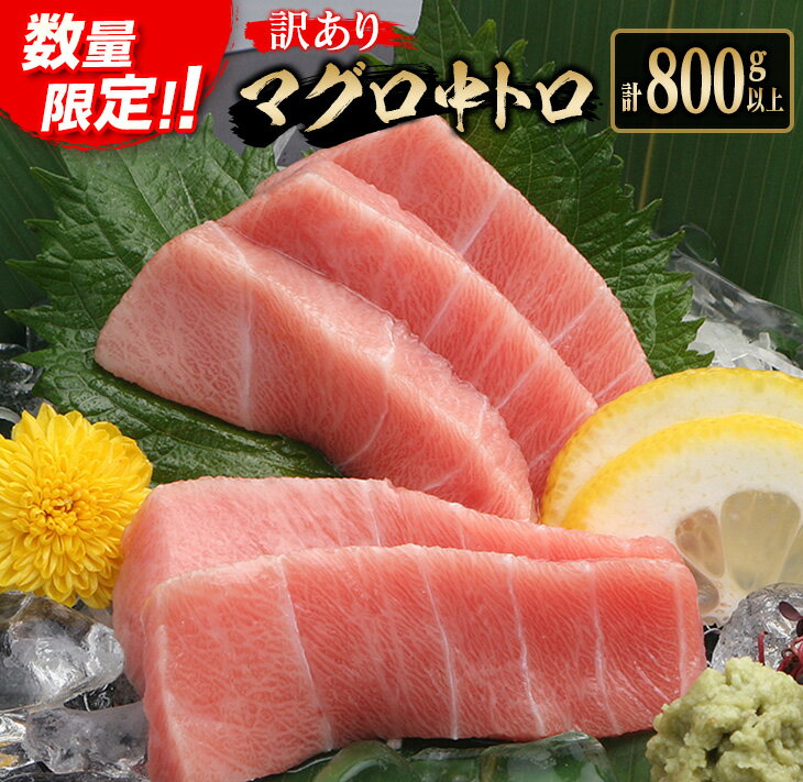 【ふるさと納税】訳あり 数量限定 マグロ 中トロ 計800g以上 柵 魚介 魚貝 食品 グルメ 海の幸 海産物 まぐろ 鮪 クロマグロ ミナミマグロ 刺身 海鮮丼 寿司 鉄火 手巻き寿司 新鮮 天然 真空パック 小分け 人気 おすすめ おすそ分け お取り寄せ 宮崎県 日南市 送料無料