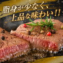 宮崎県日南市の画像2