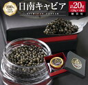 【ふるさと納税】日南CAVIAR キャビア 計20g 魚卵 黒い...