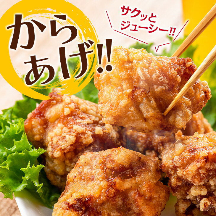 宮崎県日南市の画像2