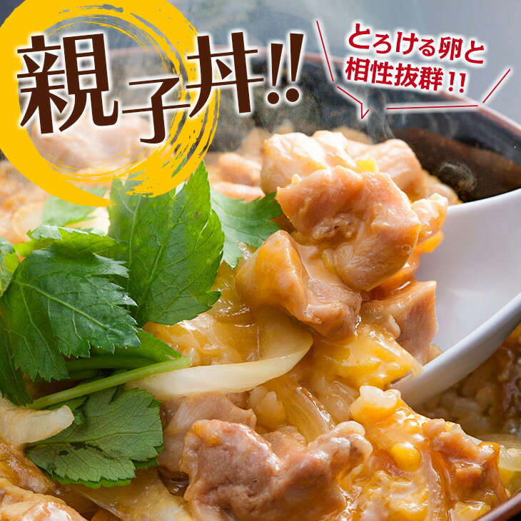 宮崎県日南市の画像3