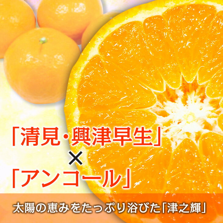 宮崎県日南市の画像3
