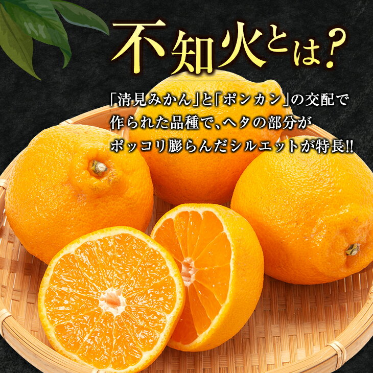 宮崎県日南市の画像2