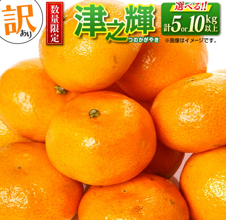 【ふるさと納税】訳あり 数量限定 津之輝 (つのかがやき) フルーツ 果物 柑橘 みかん 国産 食品 デザート くだもの 果実 蜜柑 送料無料のサムネイル