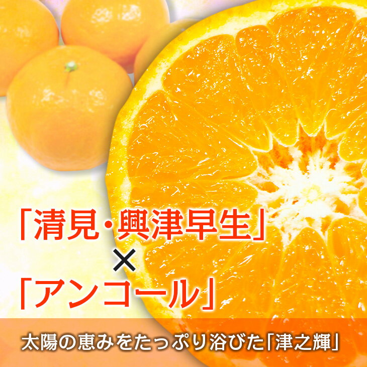 宮崎県日南市の画像3