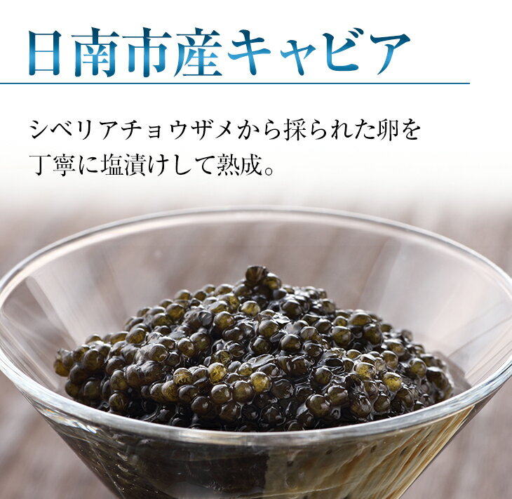 宮崎県日南市の画像2