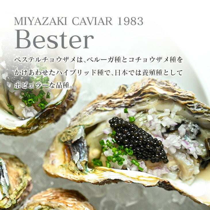 宮崎県日南市の画像2