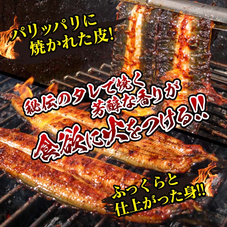 【ふるさと納税】職人 手焼き うなぎ蒲焼 1尾 2尾 3尾 鰻 魚介類 伝統の味 秘伝のタレ 厳選 国産 ウナギ おかず 食品 グルメ 水産 加工品 真空パック 人気 おすすめ お取り寄せ 関西風 うな重 うな丼 お弁当 冷蔵 惣菜 ご褒美 贅沢 お祝 お土産 宮崎県 日南市 送料無料