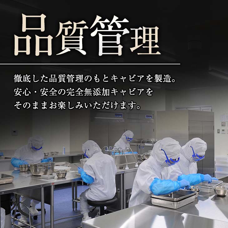 宮崎県日南市の画像3