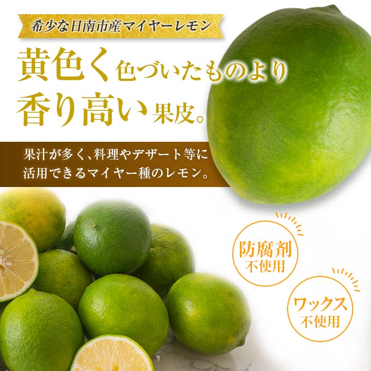 宮崎県日南市の画像2