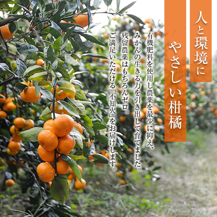 宮崎県日南市の画像2