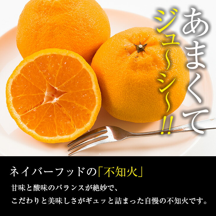 宮崎県日南市の画像3