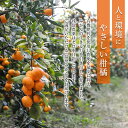 宮崎県日南市の画像2