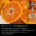 宮崎県日南市の画像3