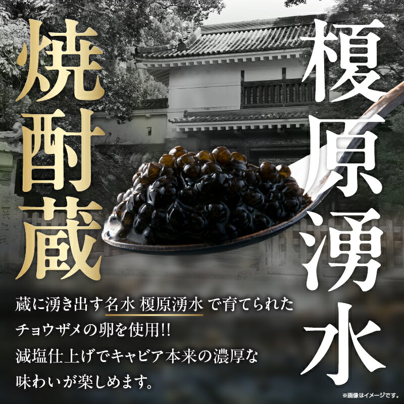 【ふるさと納税】日南発 (ひなた) キャビア 計20g 魚卵 魚介 魚貝 国産 加工品 食品 新鮮 チョウザメ 世界三大珍味 希少 水産物 おつまみ おすすめ 高級 ご褒美 パーティー 前菜 オードブル お祝い 記念日 お礼 人気 ギフト 贈り物 贈答 黒いダイヤ 冷凍 宮崎県 送料無料