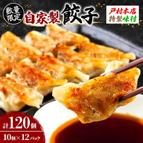 【ふるさと納税】レビューキャンペーン 自家製 餃子 10個 × 12パック 計120個 惣菜 加工品 国産 おかず おつまみ お弁当 晩ご飯 簡単調理 食品 お肉 小分け やみつき おすそ分け お取り寄せ グルメ 冷凍 お土産 贈り物 プレゼント ギフト 数量限定 宮崎県 日南市 送料無料