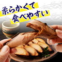 宮崎県日南市の画像3