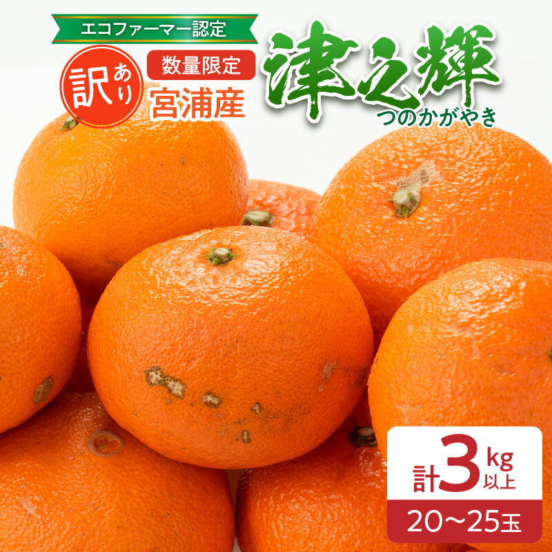 【ふるさと納税】訳あり 数量限定 津之輝 計3kg以上 果物 フルーツ くだもの みかん 柑橘 先行予約 2025年 期間限定 デザート おやつ ジュース フルーツサンド おすすめ 国産 食品 ご家庭用 ご褒美 お祝い 記念日 不揃い 傷 おすそ分け 産地直送 宮崎県 日南市 送料無料のサムネイル