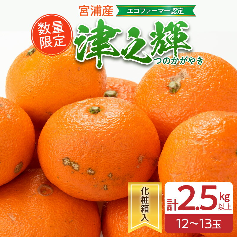 【ふるさと納税】数量限定 津之輝 計2.5kg以上 果物 フルーツ くだもの みかん 柑橘 先行予約 2025年 期間限定 デザート おやつ ジュース フルーツサンド おすすめ 国産 食品 ギフト 贈り物 贈答 ご褒美 お祝い 記念日 おすそ分け 産地直送 宮崎県 日南市 送料無料のサムネイル