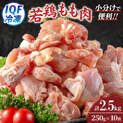 レビューキャンペーン 小分け 便利 カット済 若鶏 もも肉 計2.5kg 250g × 10袋 鶏肉 国産 おかず お弁当 おつまみ 食品 IQF冷凍 バラバラ凍結 チキン 簡単調理 から揚げ 親子丼 人気 おすすめ グルメ おすそ分け お取り寄せ 大容量 宮崎県 日南市 送料無料