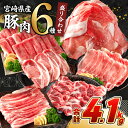 【ふるさと納税】《肉ランキングTOP10入》選べる配送月 数量限定 豚肉 6種 盛り合わせ セット 合計4.1kg 豚 小分け 豚バラ 豚ロース 豚こま スライ...