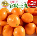 【ふるさと納税】先行予約 訳あり 完熟 きんかん 宮崎王丸 計3kg以上 傷み補償分付き 数量限定 期間限定 フルーツ 果物 くだもの 柑橘 金柑 訳アリ おす...