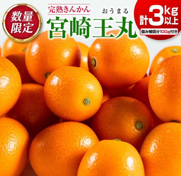【ふるさと納税】数量限定 完熟 きんかん 宮崎王丸 計3kg以上 傷み補償分100g付き フルーツ 果物 期間限定 柑橘 金柑 みかん オレンジ 人気 おすすめ おすそ分け お土産 ギフト プレゼント お取り寄せ グルメ 国産 食品 デザート 特産品 産地直送 宮崎県 日南市 送料無料のサムネイル