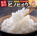 【ふるさと納税】数量限定 日南市産 ヒノヒカリ 計10kg 期間限定 お米 ご飯 国産 食品 精米 白米 ひのひかり ライス 令和5年産 人気 おすすめ おにぎり お弁当 有洗米 小分け お取り寄せ グルメ 贈り物 ギフト キャンプ BBQ バーベキュー グランピング 宮崎県 送料無料