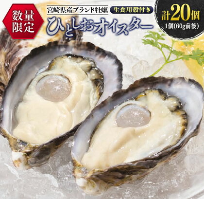 数量限定 宮崎県産 ブランド 牡蠣 ひとしおオイスター 計20個 魚介 魚貝 かき 生食用 殻付き 国産 おかず おつまみ 食品 海鮮 海産物 シーフード BBQ バーベキュー アウトドア グランピング 海の幸 養殖 絶品 贅沢 ご褒美 お取り寄せ グルメ 日南市 送料無料