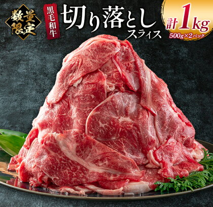 数量限定 黒毛和牛 切り落とし スライス 計1kg 牛肉 ビーフ 国産 食品 おかず お弁当 おつまみ 焼肉 BBQ 鉄板焼き 肉巻き 肉じゃが 牛丼 炒め物 カレー シチュー 小間切れ こま切れ お祝 記念日 イベント 小分け お取り寄せ グルメ 宮崎県 日南市 送料無料