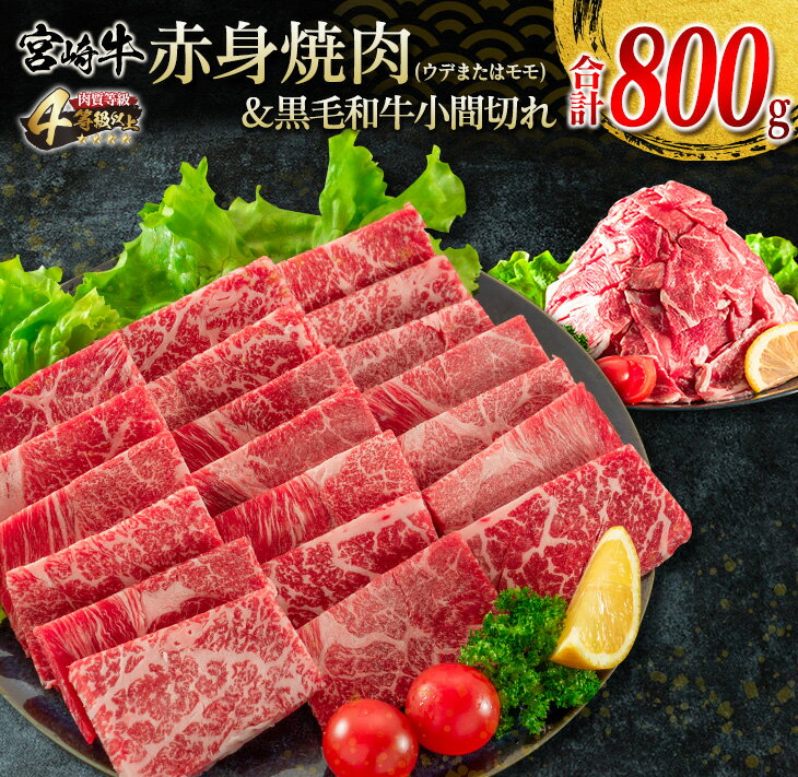 【ふるさと納税】宮崎牛 赤身 焼肉 黒毛和牛 小間切れ セッ