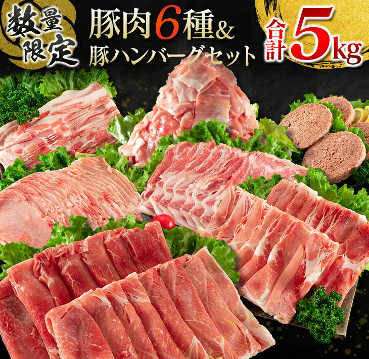 【ふるさと納税】数量限定 豚肉 6種 豚ハンバーグ セット 合計5kg ポーク 国産 ミヤチク スライス 小間切れ 豚ウデ 豚モモ 豚バラ 豚ロース 万能食材 大容量 小分け おかず お弁当 おつまみ 食品 生姜焼き 炒め物 ご褒美 お祝い 記念日 お取り寄せ 詰め合わせ 送料無料 1